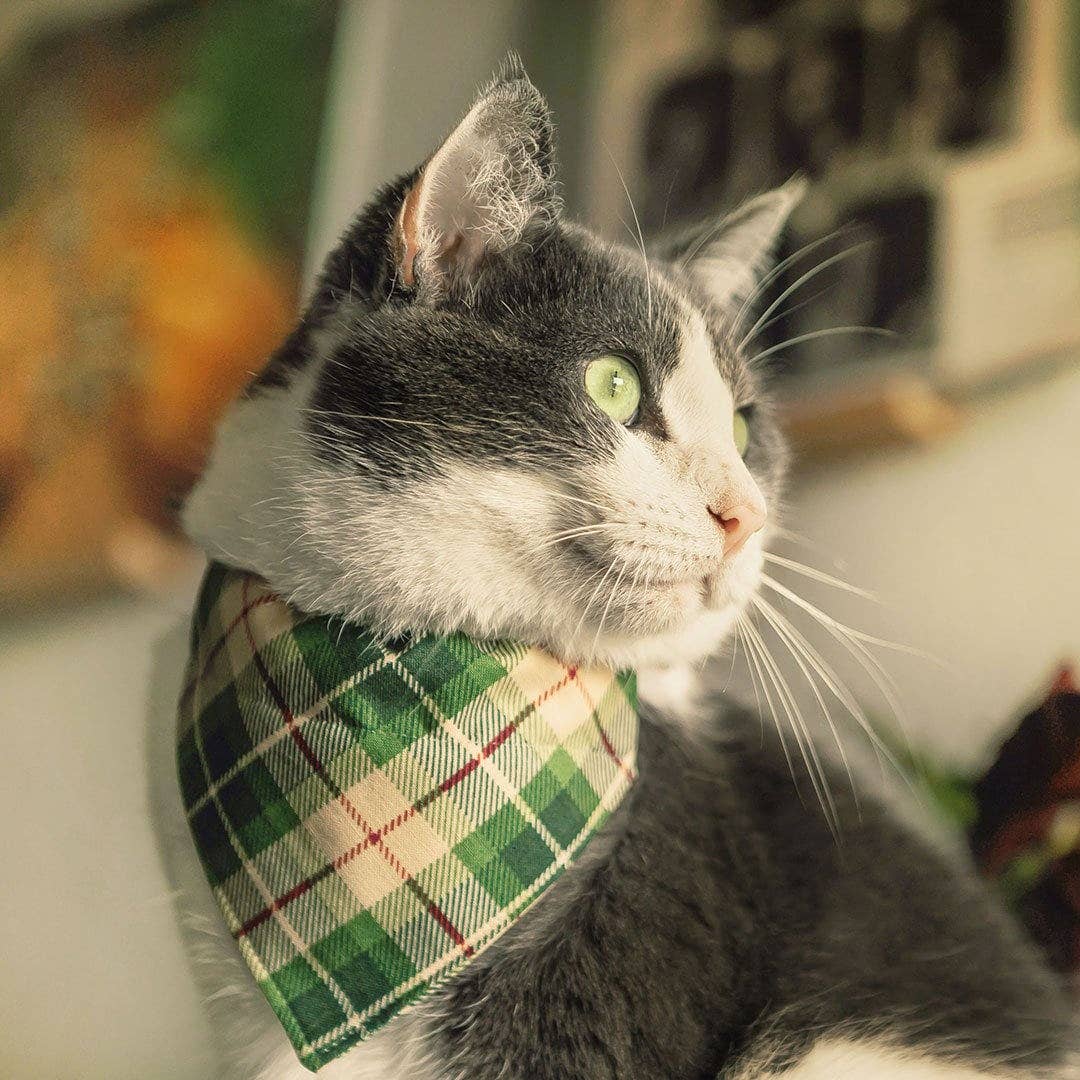 Made By Cleo - "Linden" - Bandana for Cat + Small Dog
